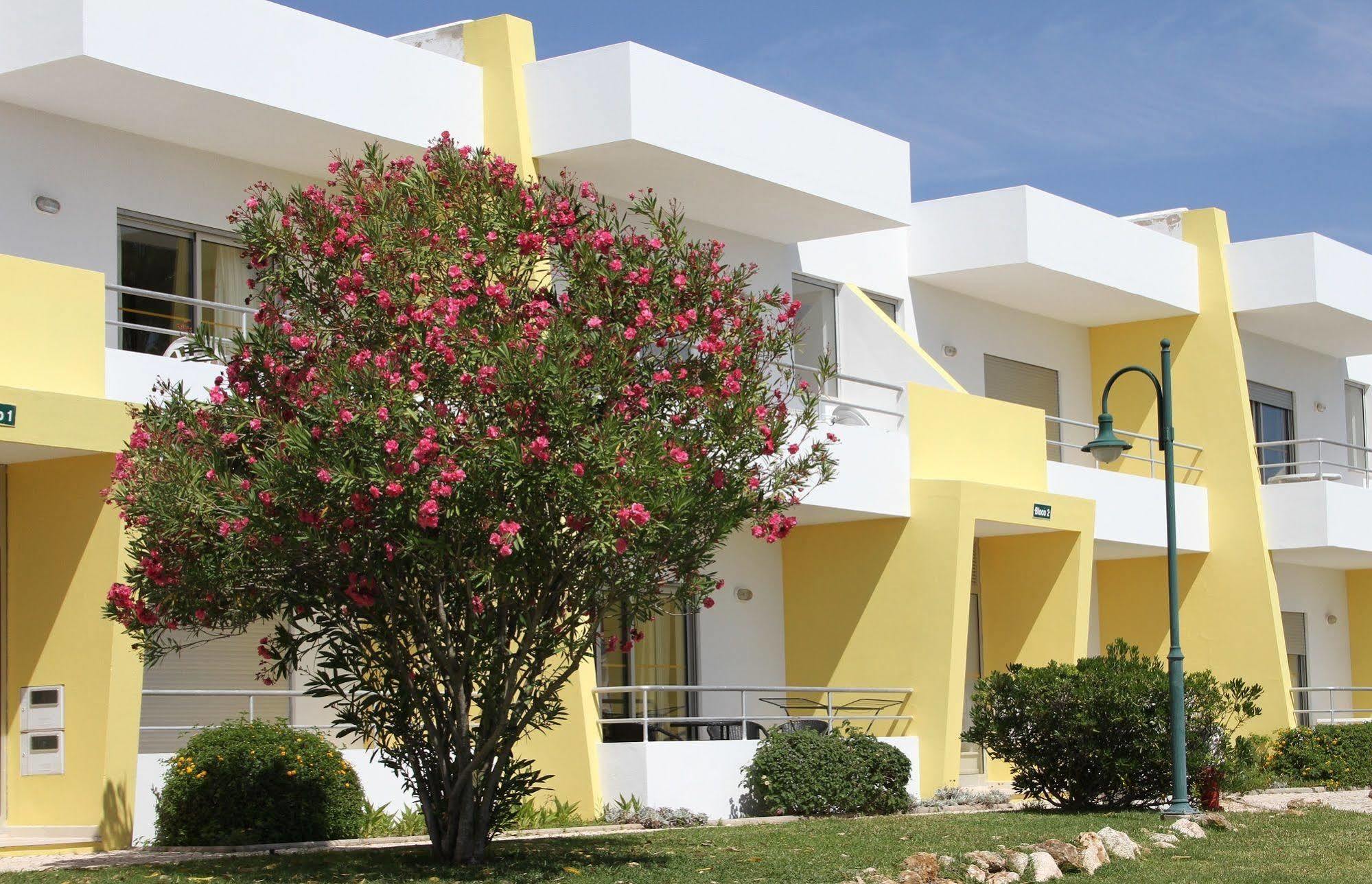 Apartamentos Santa Teresinha 阿尔沃尔 外观 照片